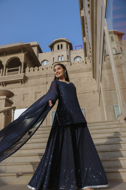 Space Blue Embroidered Sharara Set